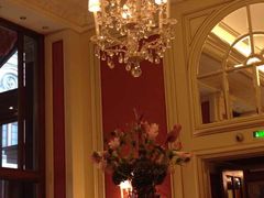 Cafe&nbsp;Sacher&nbsp;Vienna-Cafe Sacher(WIEN)