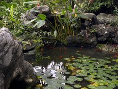 -中国茶叶博物馆(双峰馆区)