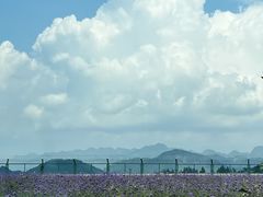 -河池金城江机场