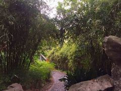 -申粤轩酒楼·三十年粤菜经典(丁香花园店)