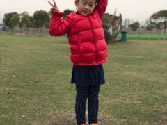 -上海都市菜园