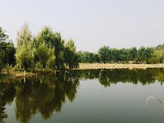 -东郊湿地公园