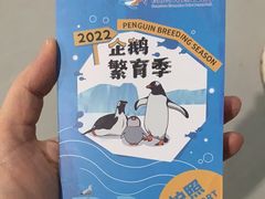 -杭州长乔极地海洋公园