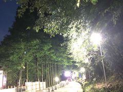 -九华山聚龙大酒店