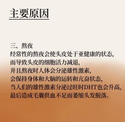 -Bollins波林丝•专研护发中心