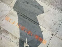 -信不信由你博物馆