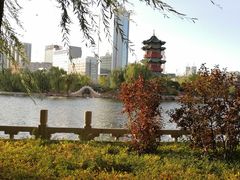 -迎泽公园