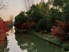 -花开海上生态园