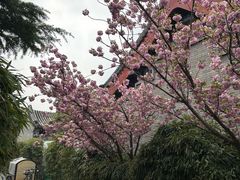 -北京颐和宾馆