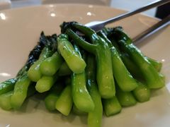 -食神鱼头佛跳墙(百子湾旗舰店)