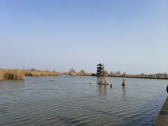 -盐城丹顶鹤湿地生态旅游区