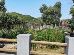 -原乡小镇度假乐园