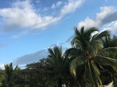 -日落吧·海景咖啡厅·餐酒吧·鸡尾酒·下午茶·乐队表演·浪漫夕阳·三亚文华东方酒店