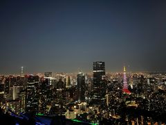 -六本木新城展望台(东京城市景观)
