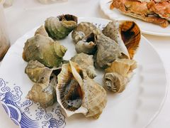 清蒸小海螺-北戴河庆山饭店·海鲜砂锅粥(北戴河黑石路店)