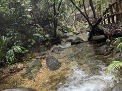 -南丹山森林王国