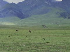 -新疆那拉提国家旅游度假区