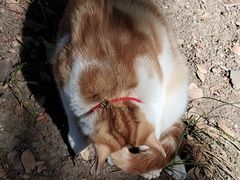 -狼山风景名胜区