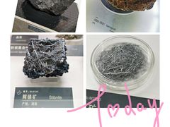 -中国地质博物馆