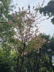 -莲生母婴月子中心(清水河公园店)
