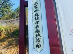 -玉苍山国家森林公园