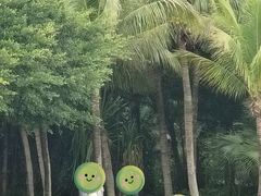 -深圳湾公园(南山区)