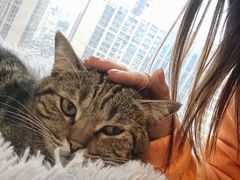 -Catmate·猫肥家润(金润铂宫店)