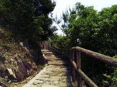 -花岙岛