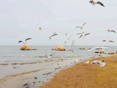 -北戴河东海水浴场