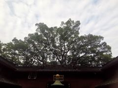 -普陀山风景名胜区-法雨禅寺