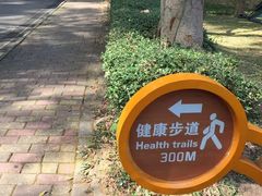 -滴水岩森林公园