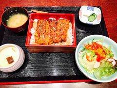 鳗鱼饭定食-翔峰炭火鳗鱼(悦泰街里公寓店)