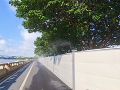-长洲岛
