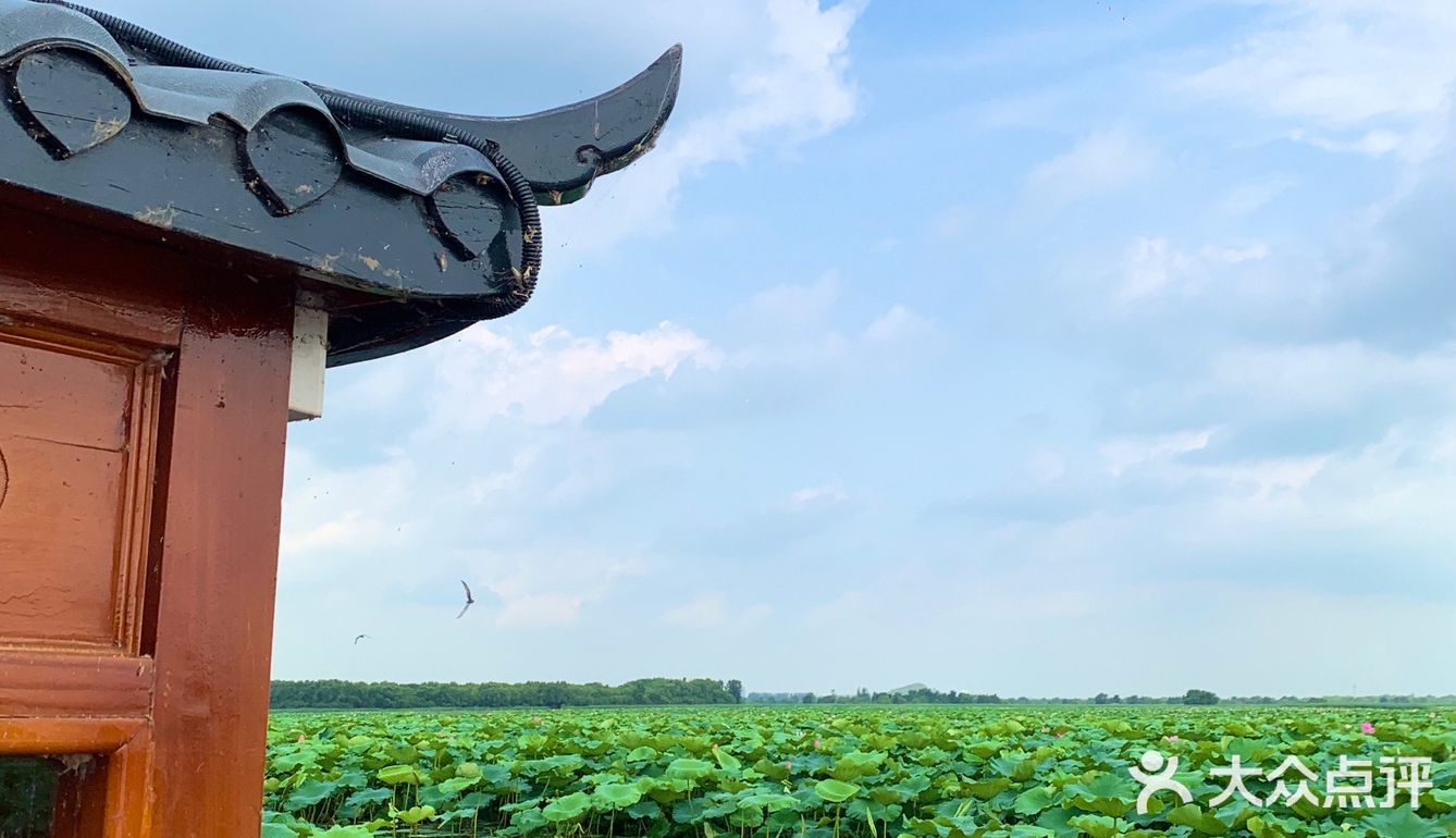  
沈阳周边游🌟旅行推荐🌟夏日避暑好去处