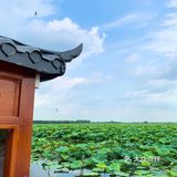  
沈阳周边游🌟旅行推荐🌟夏日避暑好去处