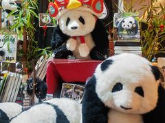 -轩客会(熊猫书店)
