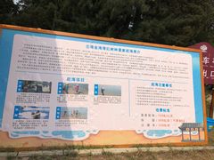 -北海金海湾红树林生态旅游区