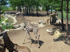 -大连森林动物园