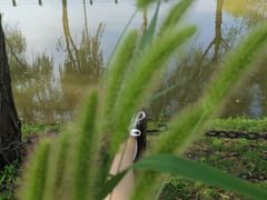 -东方假日田园-停车场