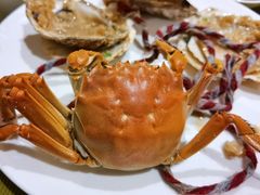 -都会尚膳·海鲜自助餐厅(重庆万豪酒店)