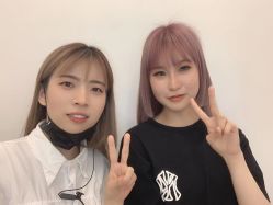-YESIDO椰岛造型