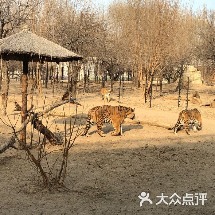 北京野生動物園