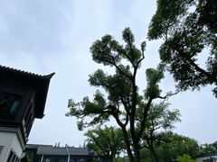 -杭州西湖柳莺里酒店·闻莺厅