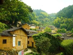 -杨家堂村