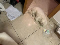 -萨莉亚意式餐厅(南开大悦城店)