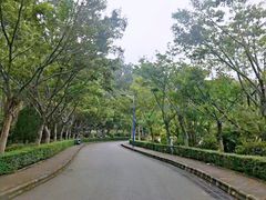 -滴水岩森林公园