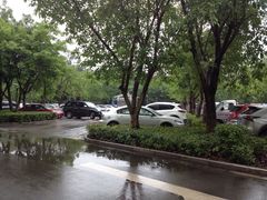 恐龙博物馆-自贡恐龙博物馆