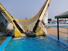 -秦皇岛乐岛海洋王国