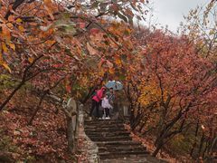 -周口店坡峰岭风景区