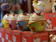 -猫咪博物馆(顶澳仔猫街店)